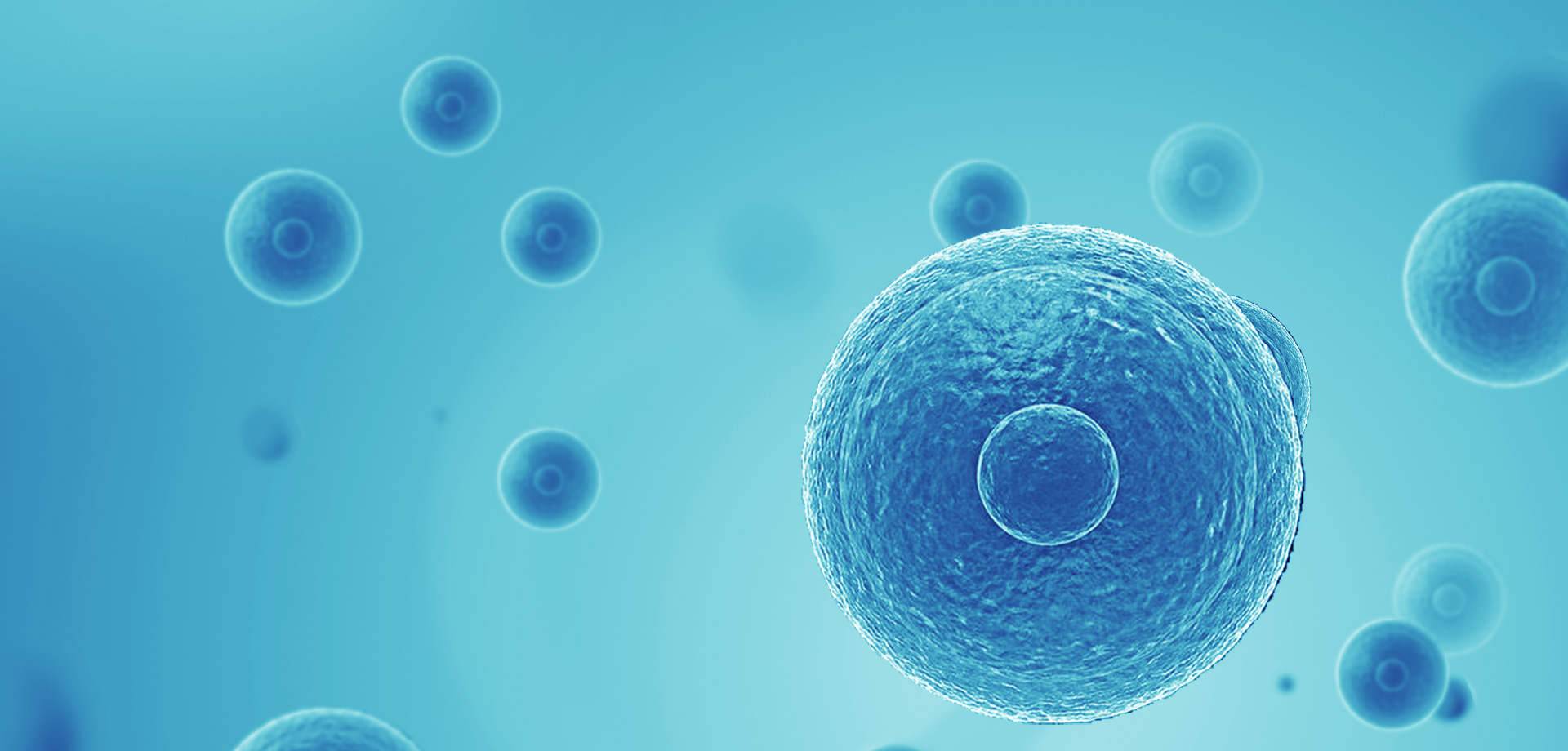 以患者需求為核心，驅(qū)動(dòng)細(xì)胞免疫治療創(chuàng)新，實(shí)現(xiàn)癌癥可控化并最終治愈。