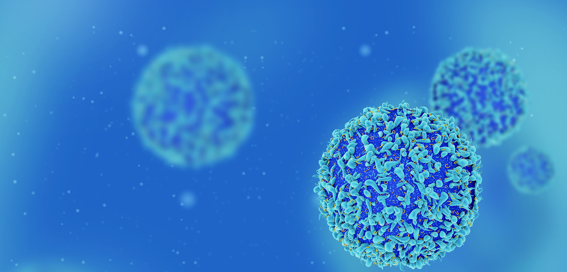 成為全球細(xì)胞免疫治療領(lǐng)域的領(lǐng)導(dǎo)者之一。